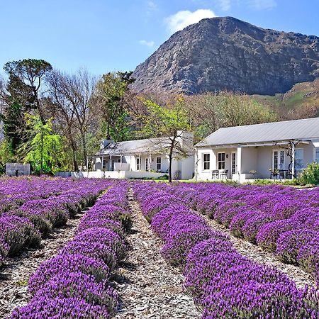 Lavender Farm Boutique Guest House فرانستشوك المظهر الخارجي الصورة
