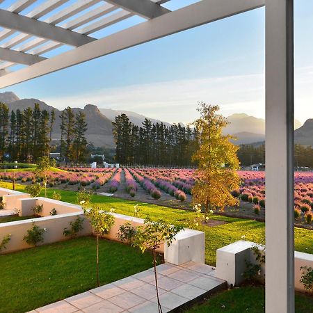 Lavender Farm Boutique Guest House فرانستشوك المظهر الخارجي الصورة
