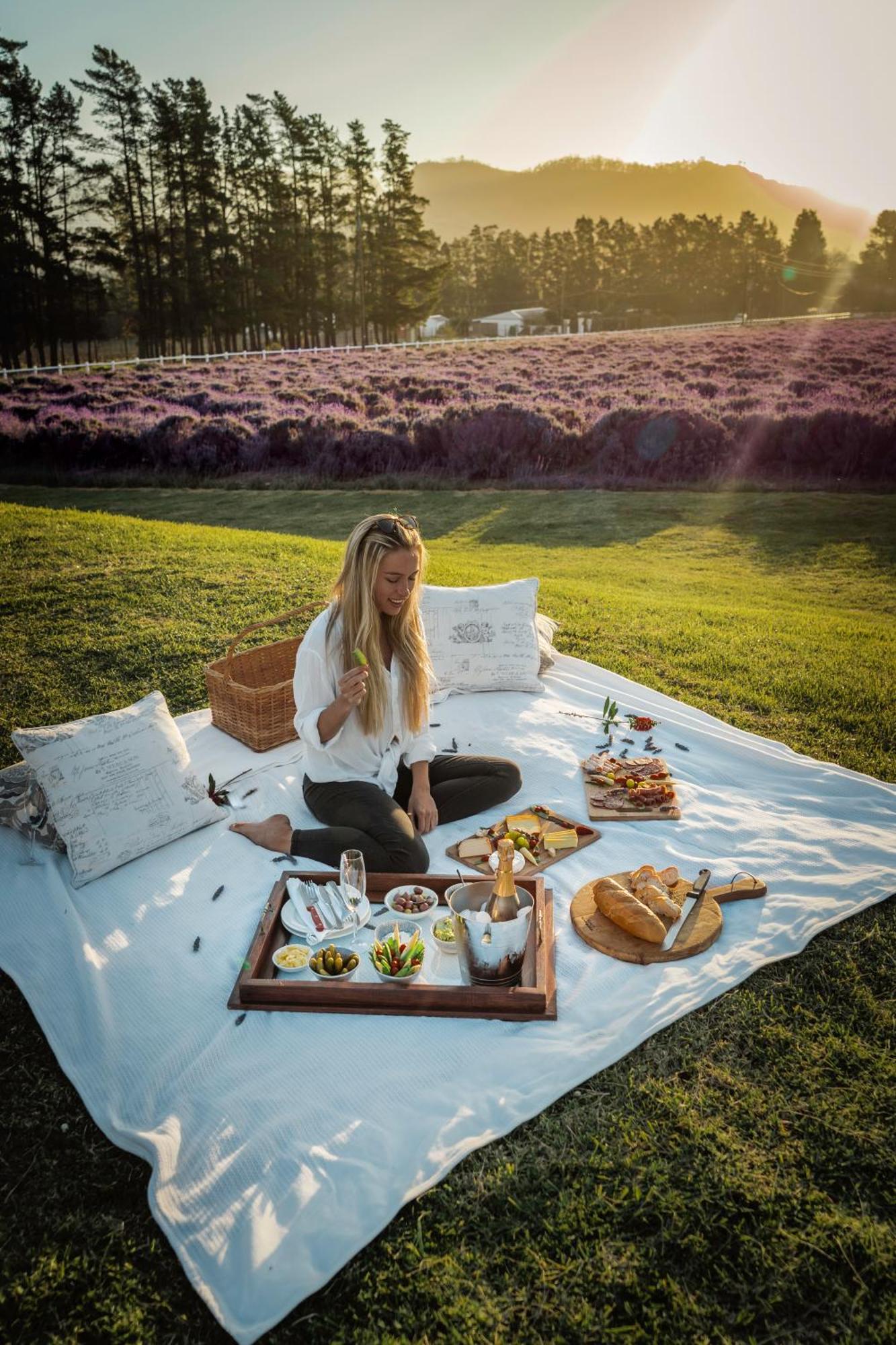 Lavender Farm Boutique Guest House فرانستشوك المظهر الخارجي الصورة