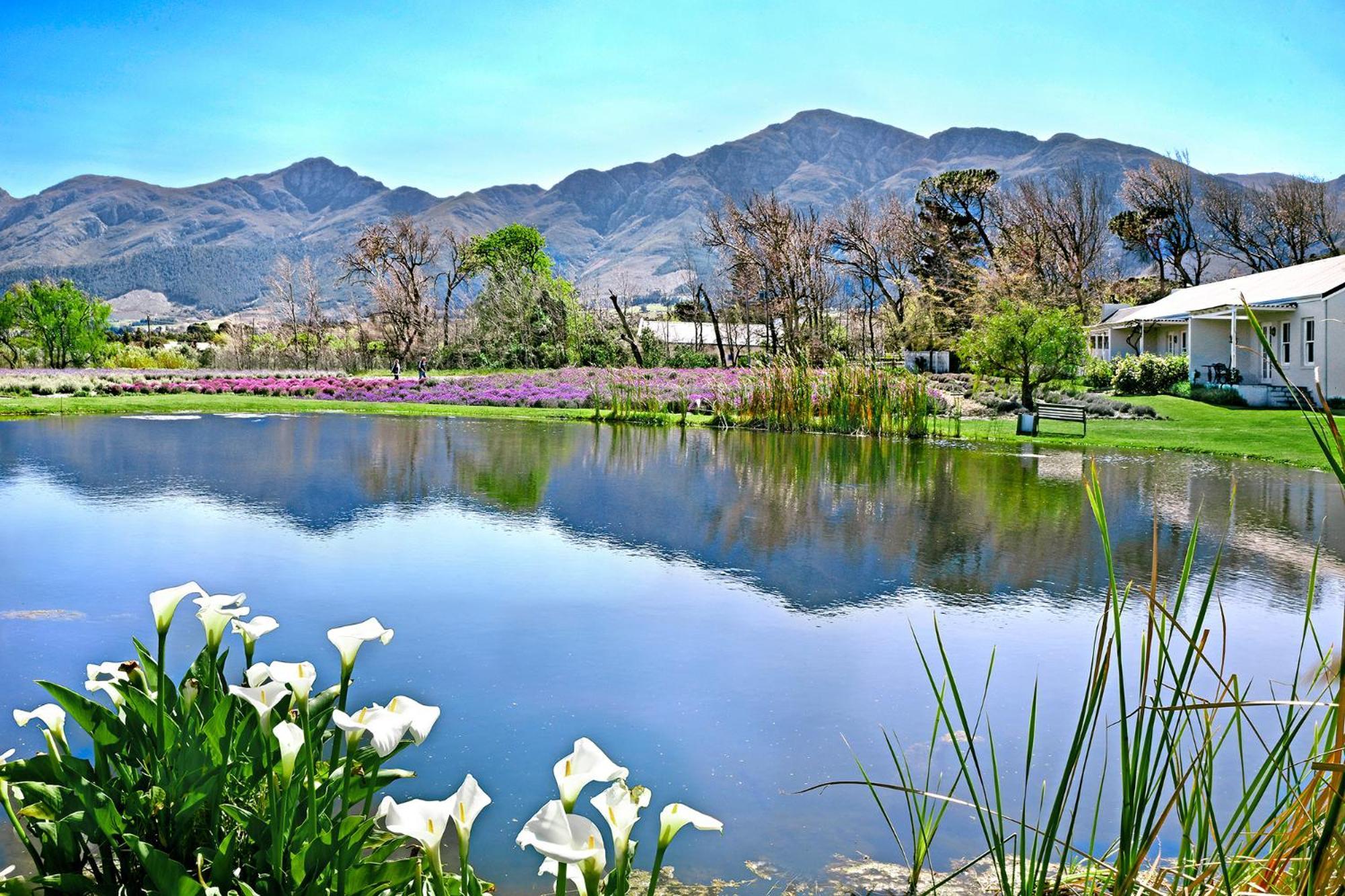 Lavender Farm Boutique Guest House فرانستشوك المظهر الخارجي الصورة