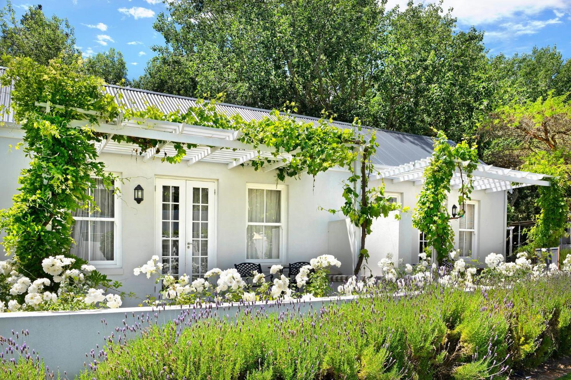 Lavender Farm Boutique Guest House فرانستشوك المظهر الخارجي الصورة