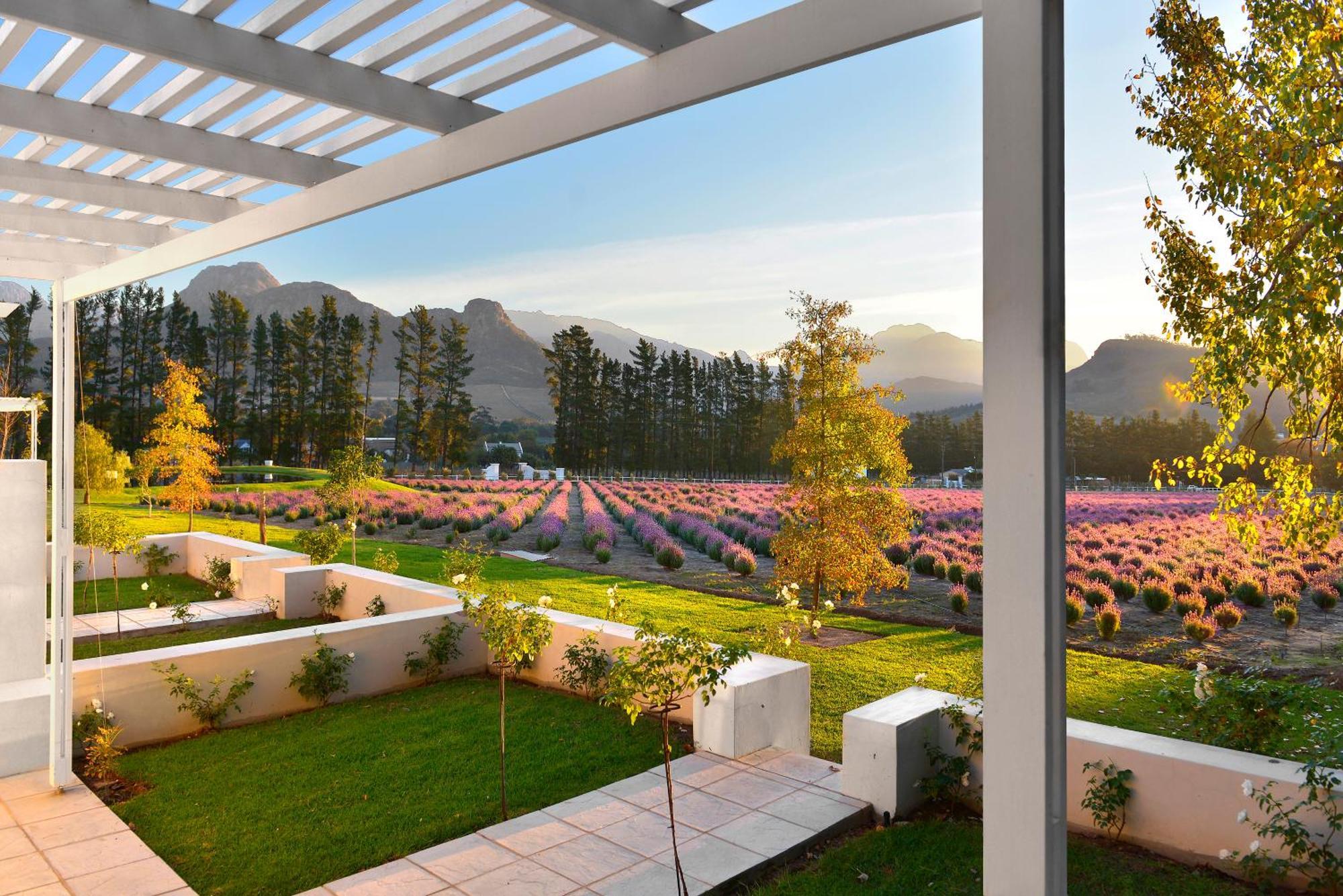 Lavender Farm Boutique Guest House فرانستشوك المظهر الخارجي الصورة