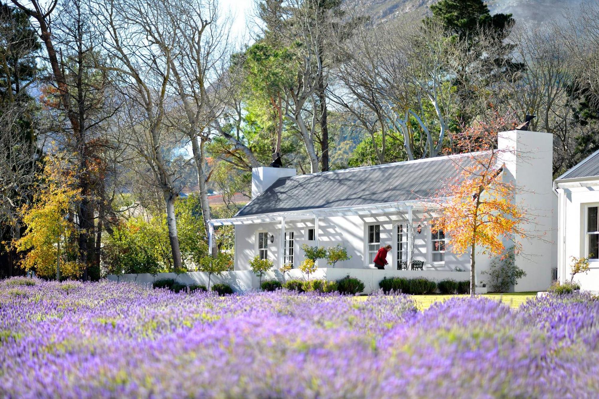 Lavender Farm Boutique Guest House فرانستشوك المظهر الخارجي الصورة