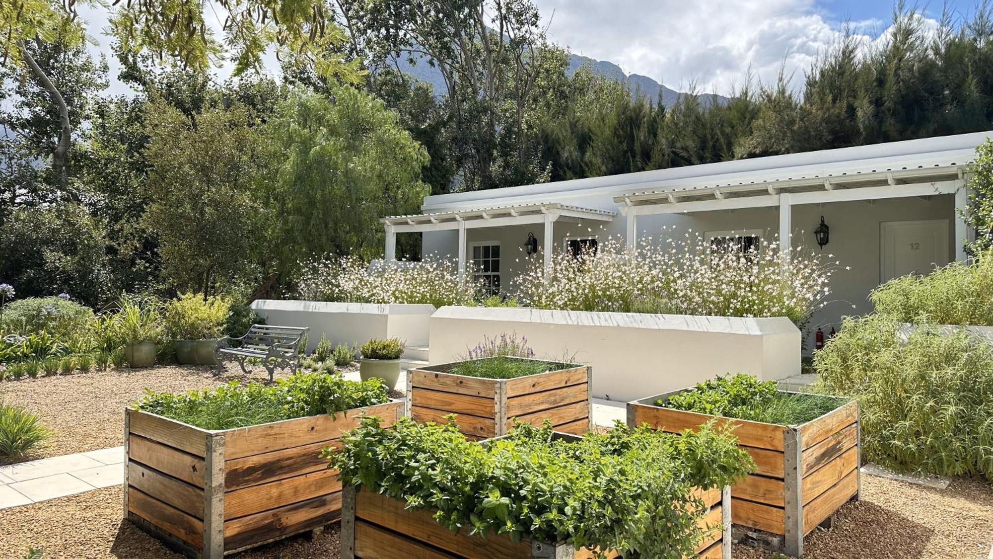 Lavender Farm Boutique Guest House فرانستشوك المظهر الخارجي الصورة